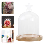 Cloche en verre transparente avec base en bois