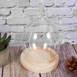 Cloche en verre transparente avec base en bois